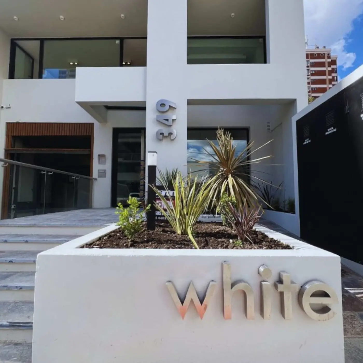 Torre White