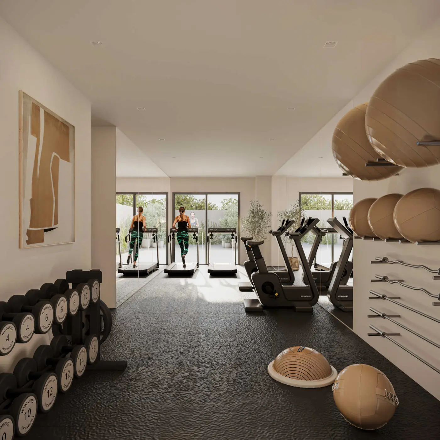 Gimnasio